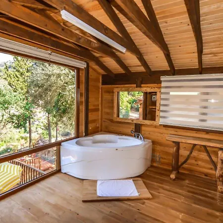 Campsite Baharoglu Life House