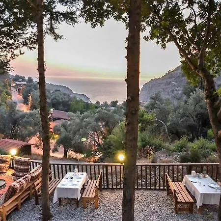 Baharoglu Life House Campsite *