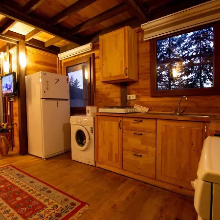 Baharoglu Life House * Faralya