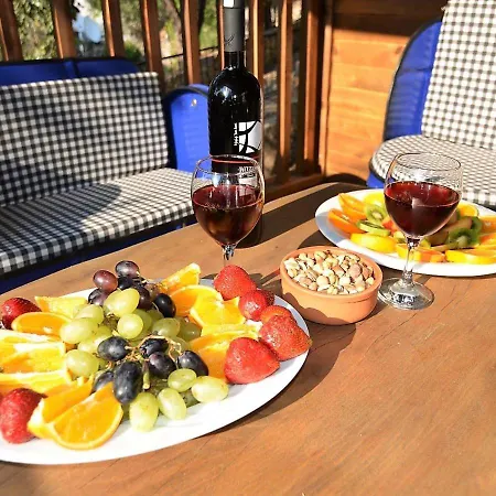Baharoglu Life House * Faralya